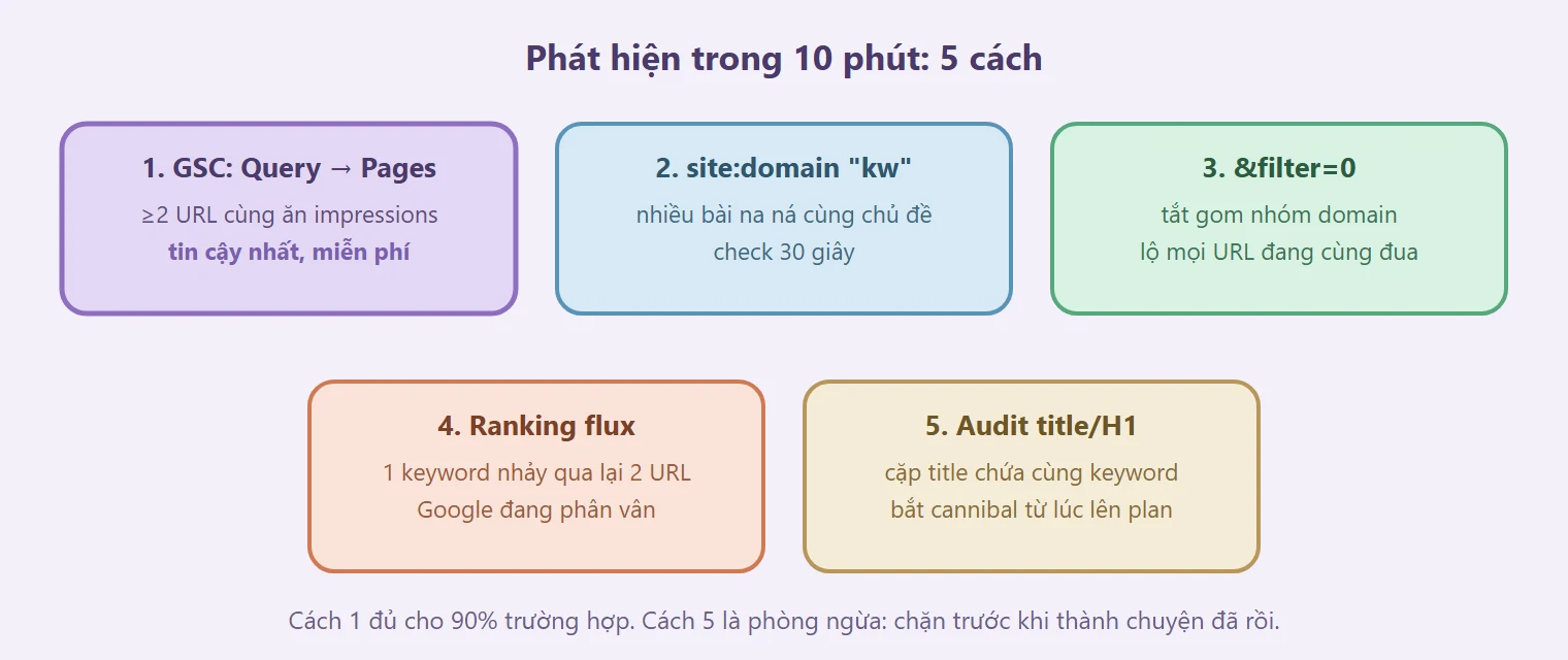 5 cách phát hiện keyword cannibalization xếp theo độ tin cậy, GSC đứng đầu